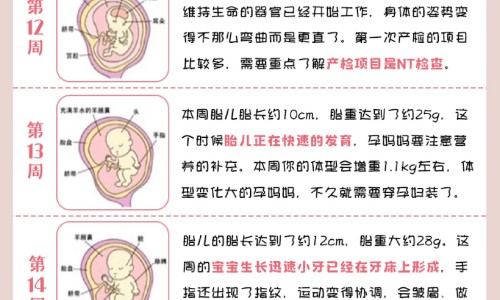 寿春香王酒52度什么档次-寿春茶叶,中国寿春堂牌荷香股兰茶价格网站