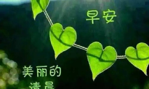寿春香是哪个酒厂生产的-寿春香王酒52度什么档次-寿春茶叶,中国寿春堂牌荷香股兰茶价格网站