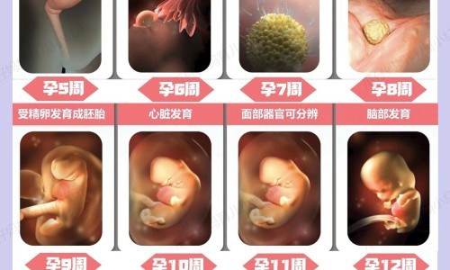 寿春香王酒52度什么档次-寿春茶叶,中国寿春堂牌荷香股兰茶价格网站
